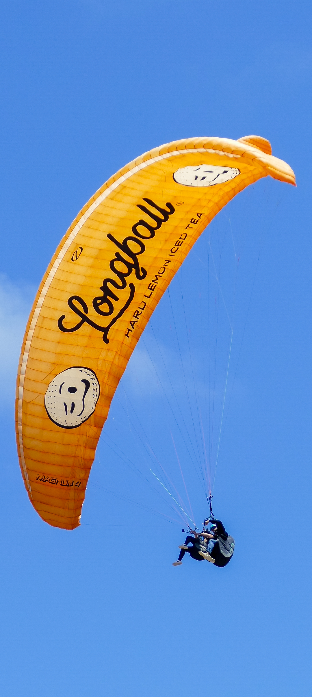 Paraglider Over the Beach